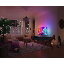 Philips 43PUS8919 / 12